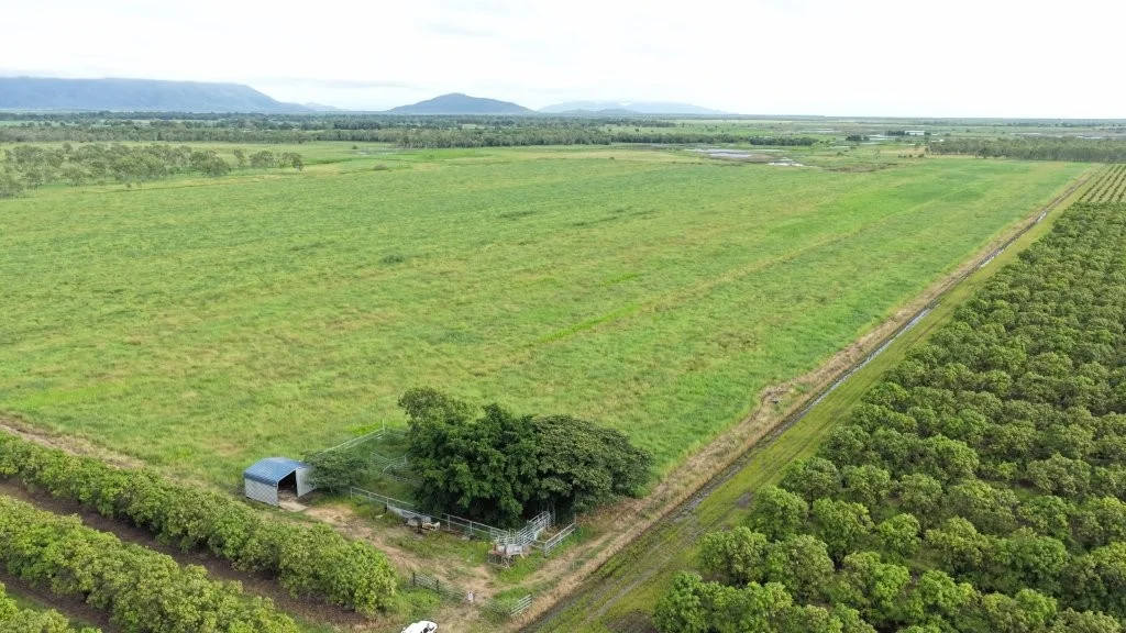 3 Comiskey Road, Giru QLD 4809