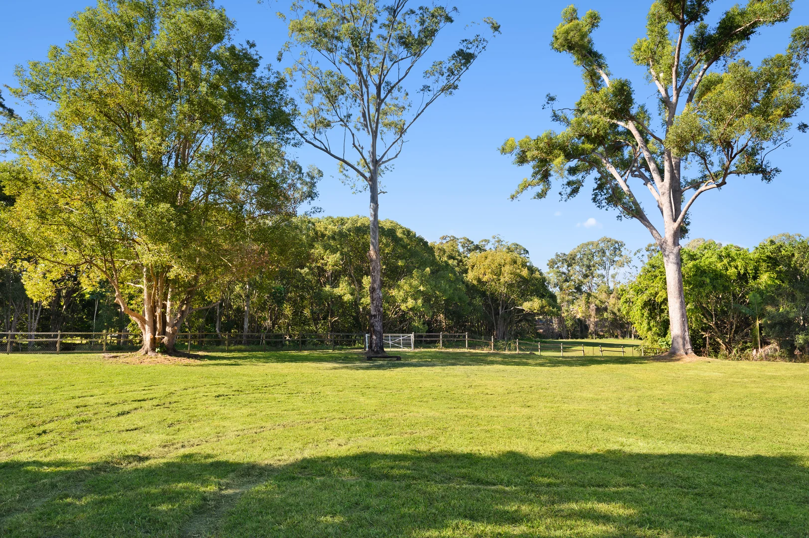 Additional image 11 of 8 Springfield Street, Upper Coomera QLD 4209