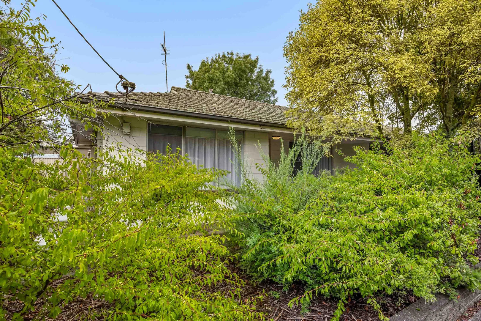 Additional image 19 of 4/215 Ripon Street South, Ballarat Central VIC 3350