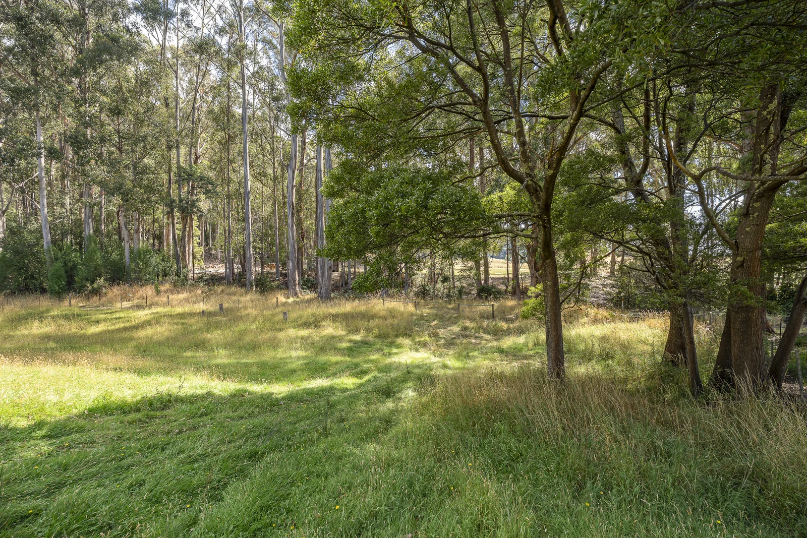 Additional image 13 of 1 & 2 Millers Road, Middleton TAS 7163