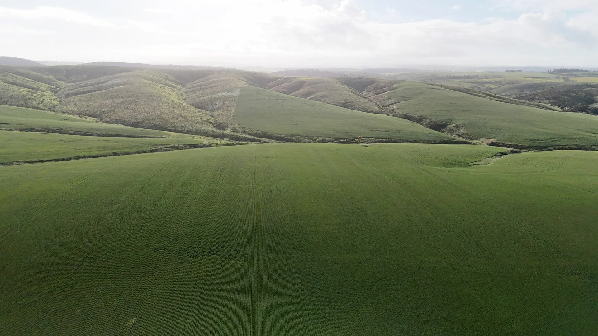 Additional image 6 of 'Crystal Valley' Talbots Road, Crystal Brook SA 5523