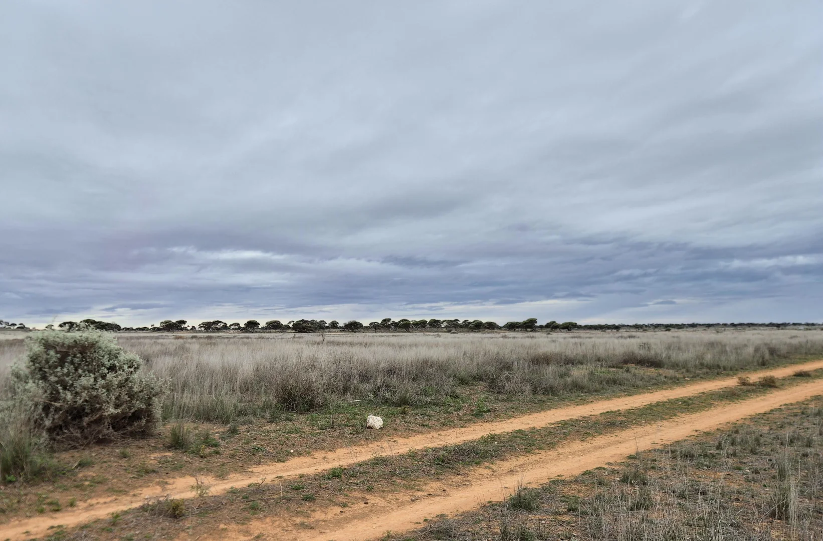 Additional image 17 of Madura Plains Station, Eucla WA 6443