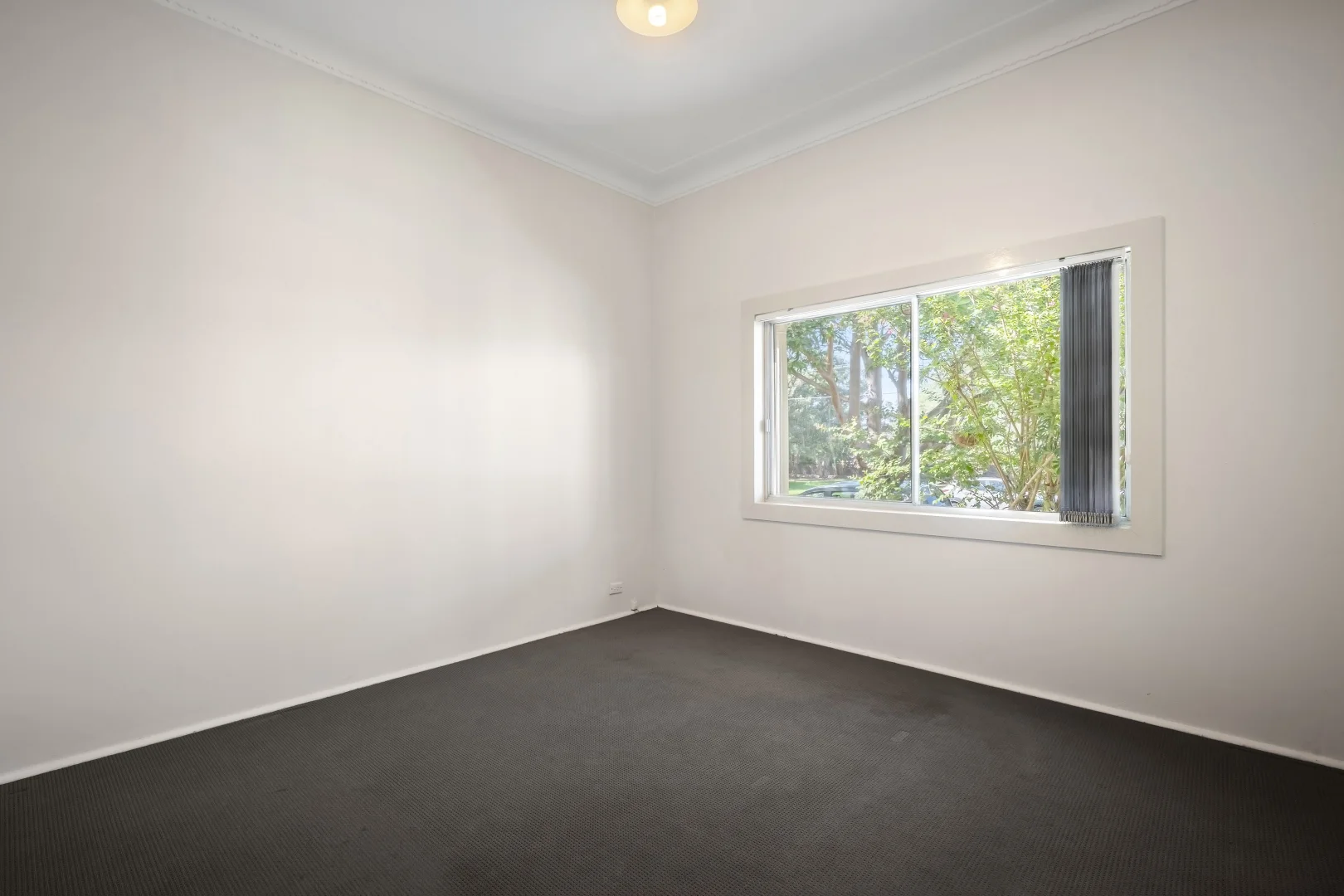 Additional image 5 of 54 Spring Street, Arncliffe NSW 2205