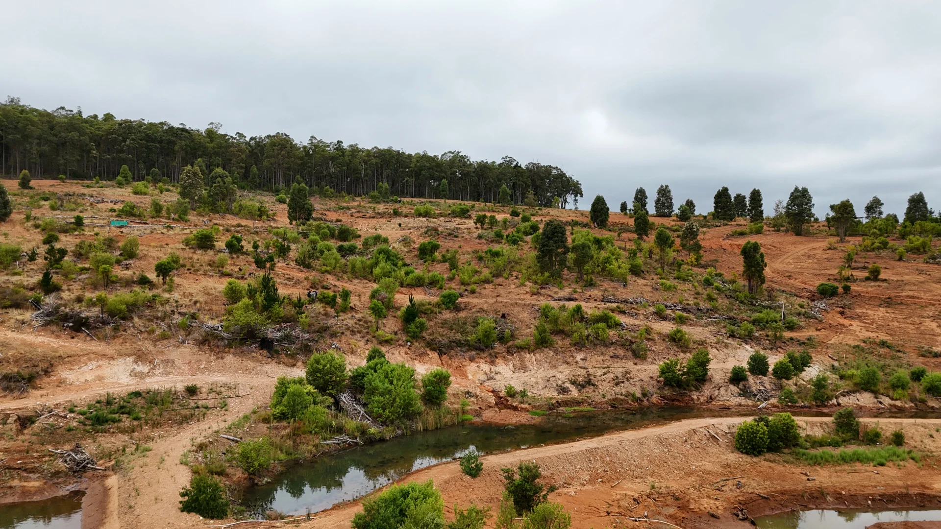 Additional image 3 of Lot 100 Brockman Highway, East Nannup WA 6275