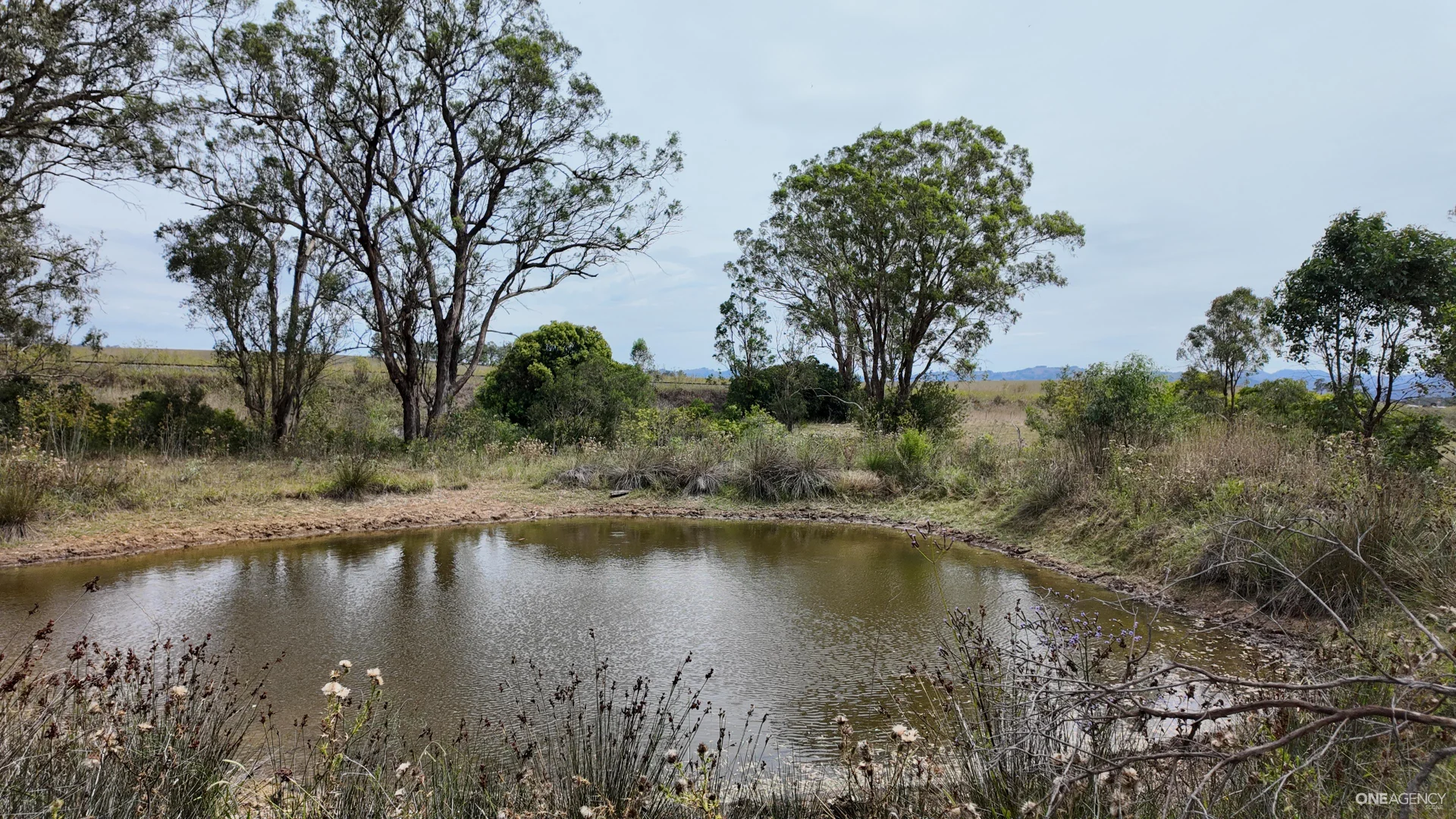 Additional image 3 of Lot 52 New England Highway, Murulla NSW 2337