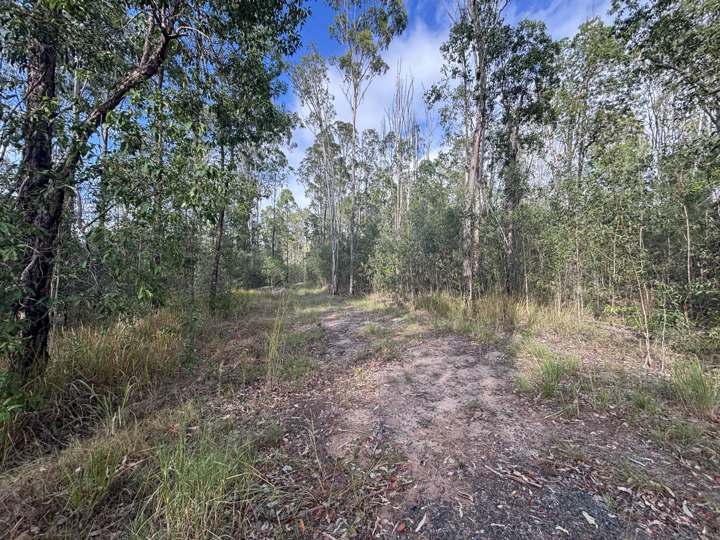 Additional image 9 of 580 Old Tenterfield Road, Camira NSW 2469