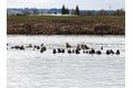 Additional image 17 of 2064 S River Rd, Kelso, WA, 98626