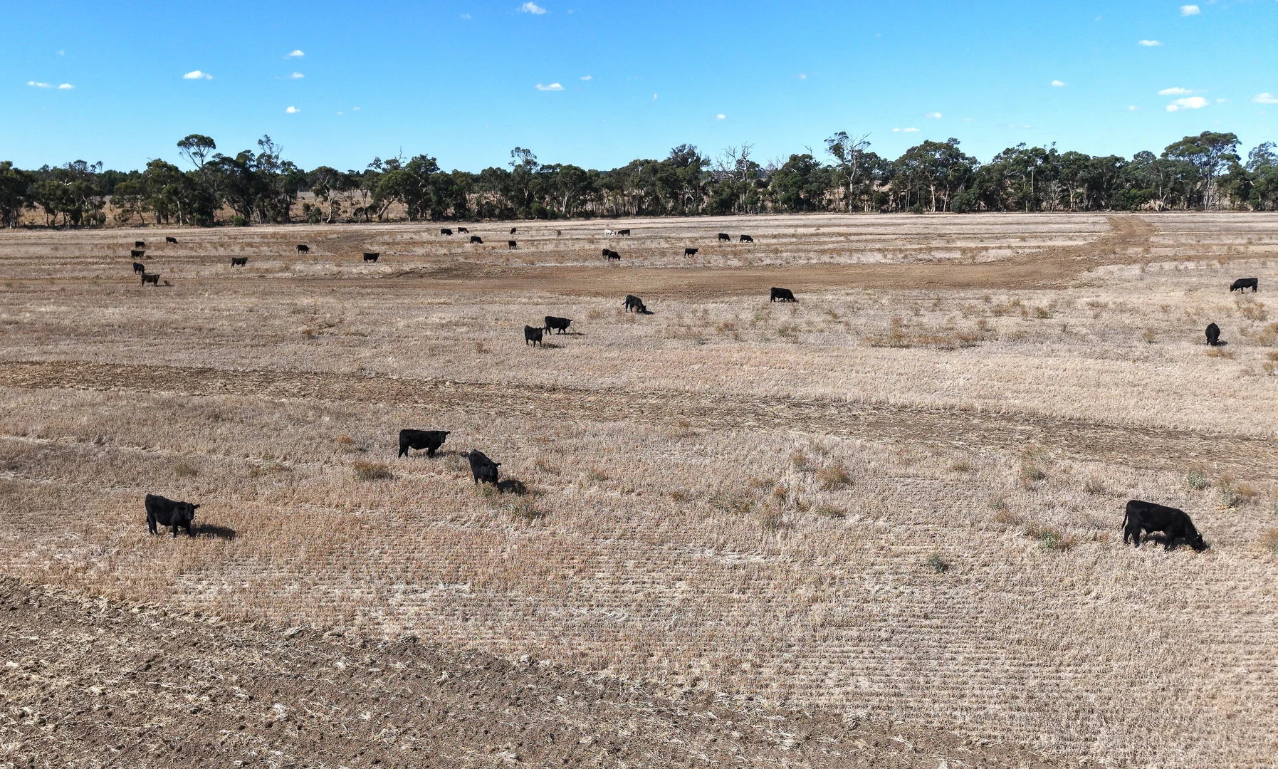 Additional image 4 of 300 Mitchell Road, Mount Barker WA 6324