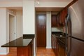 Additional image 3 of 4178 N Marine Dr Unit P908, Chicago, IL, 60613
