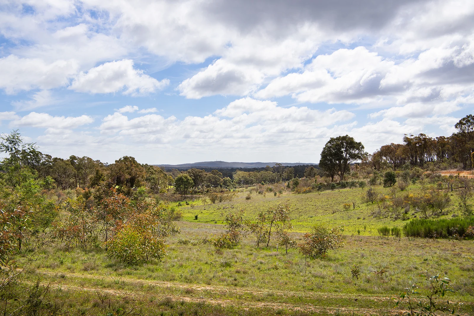 Additional image 8 of 3 Mandurang South Road, Mandurang South VIC 3551