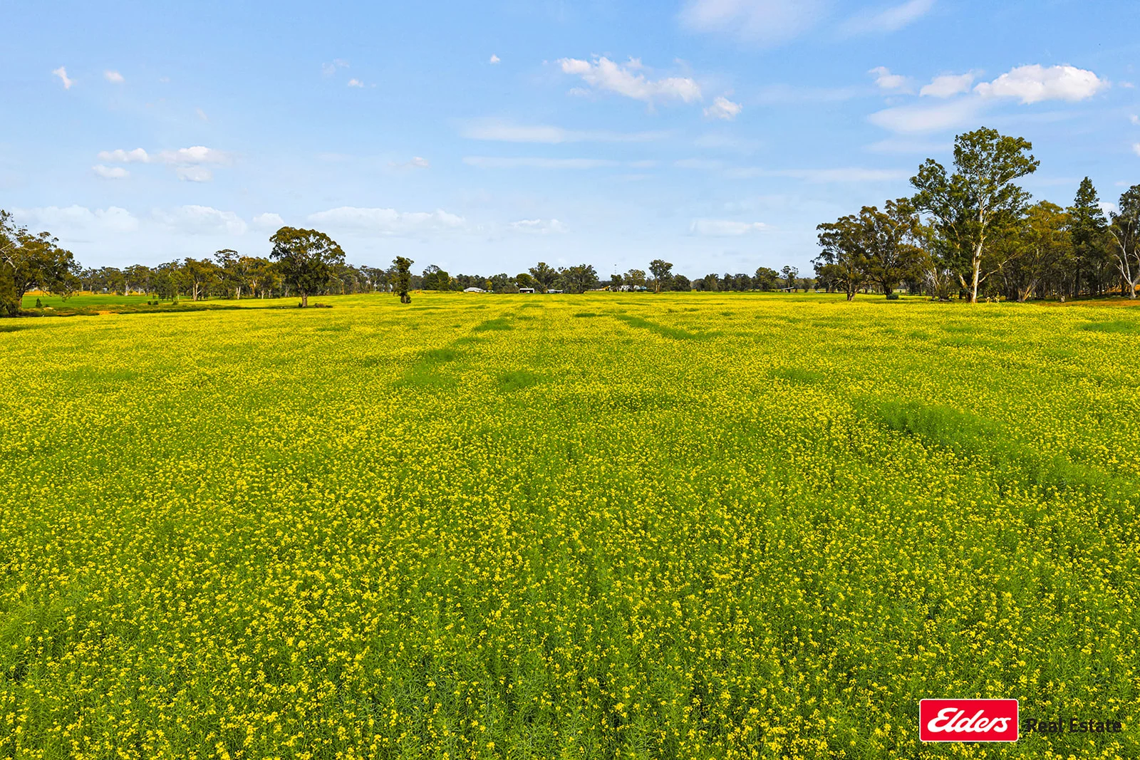 Additional image 2 of 223 Morans Road, Bribbaree NSW 2594