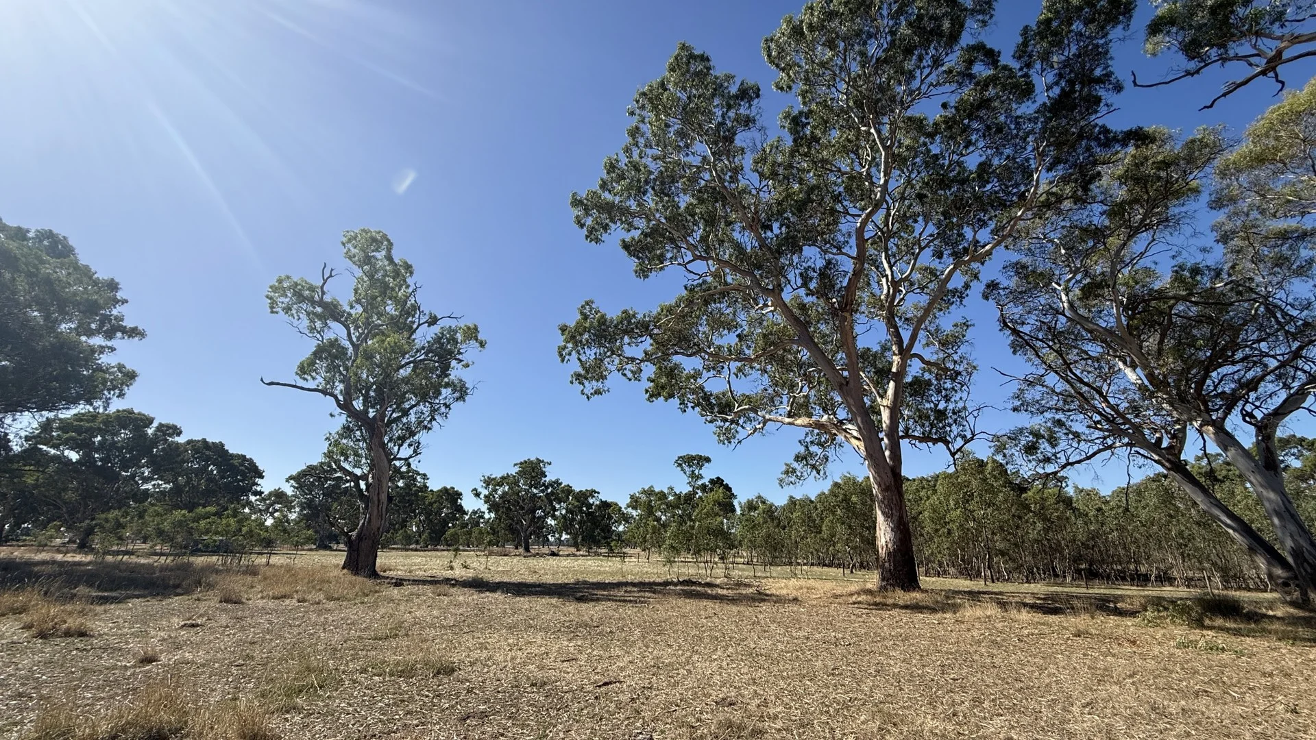 Allotment/2 V&A Lane, Penola SA 5277