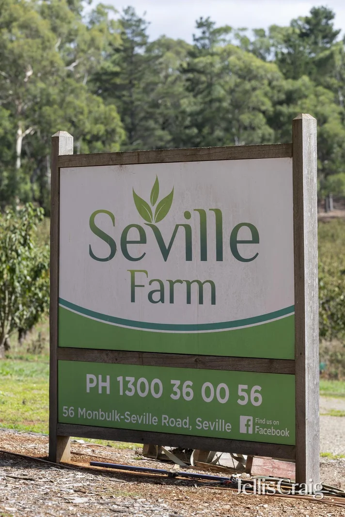 Additional image 2 of 56 Monbulk-Seville Road, Seville VIC 3139