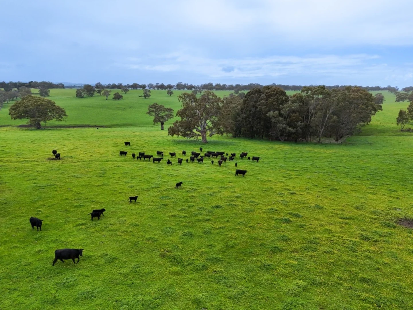 Additional image 21 of 66 Casterton-Edenhope Road, Casterton VIC 3311