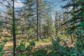 Additional image 58 of 2637 Ruth Ln, Arnold, CA, 95223