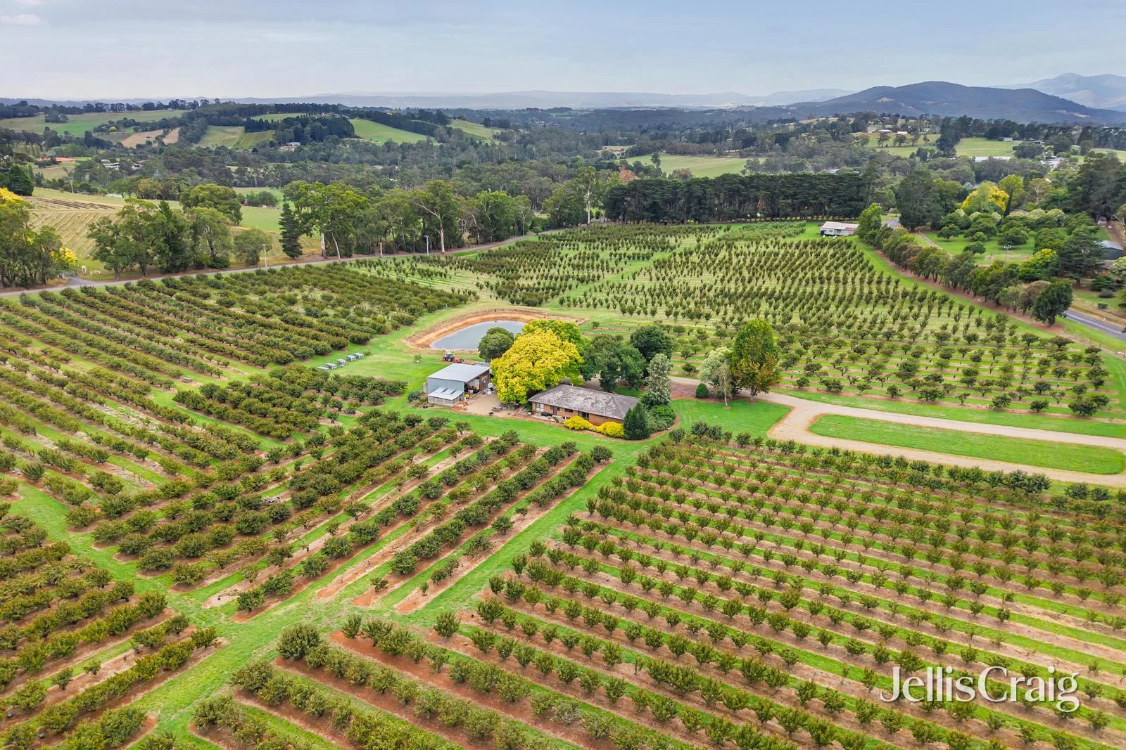 Additional image 4 of 56 Monbulk-Seville Road, Seville VIC 3139
