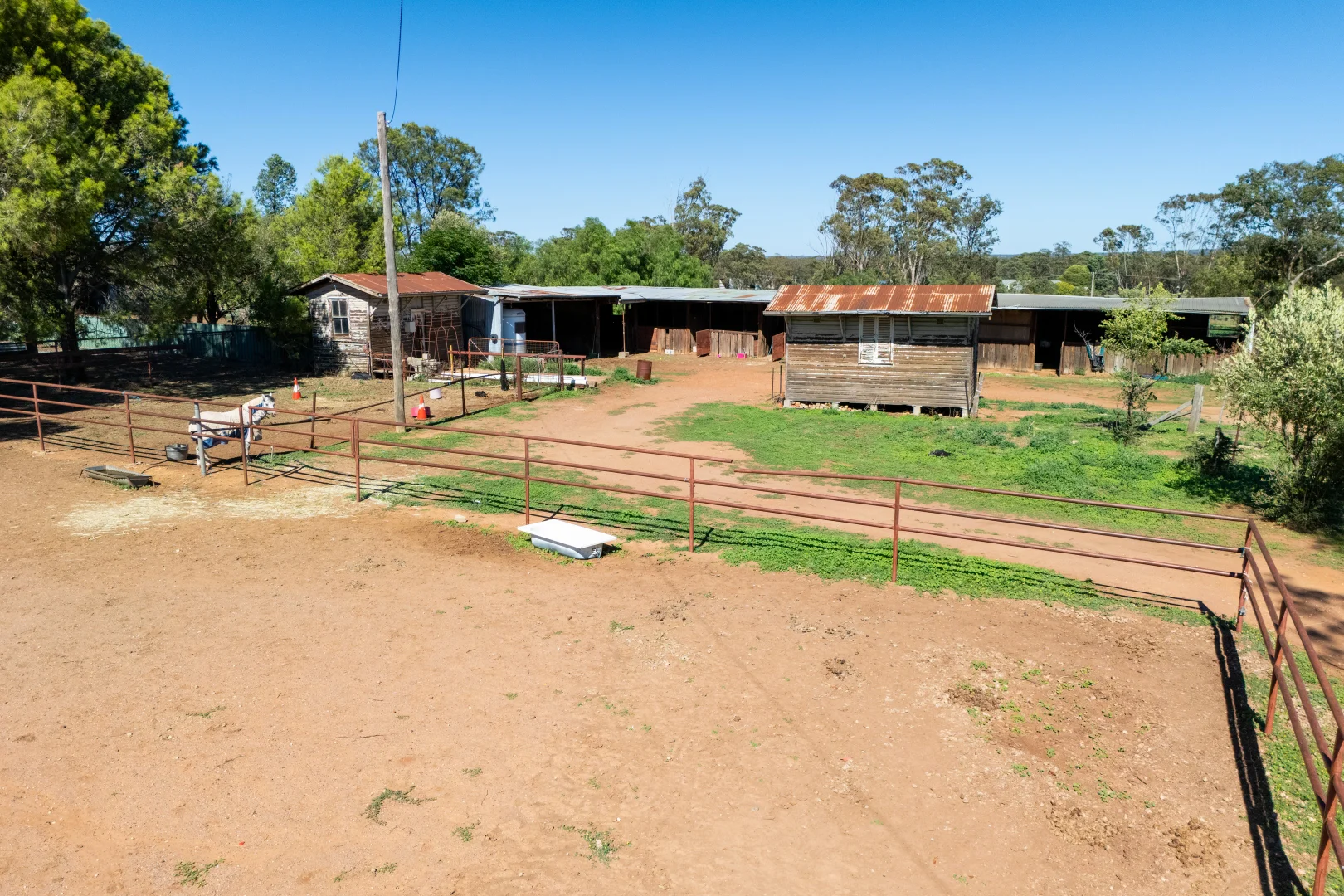 Additional image 7 of 7 Mimosa Street, Temora NSW 2666