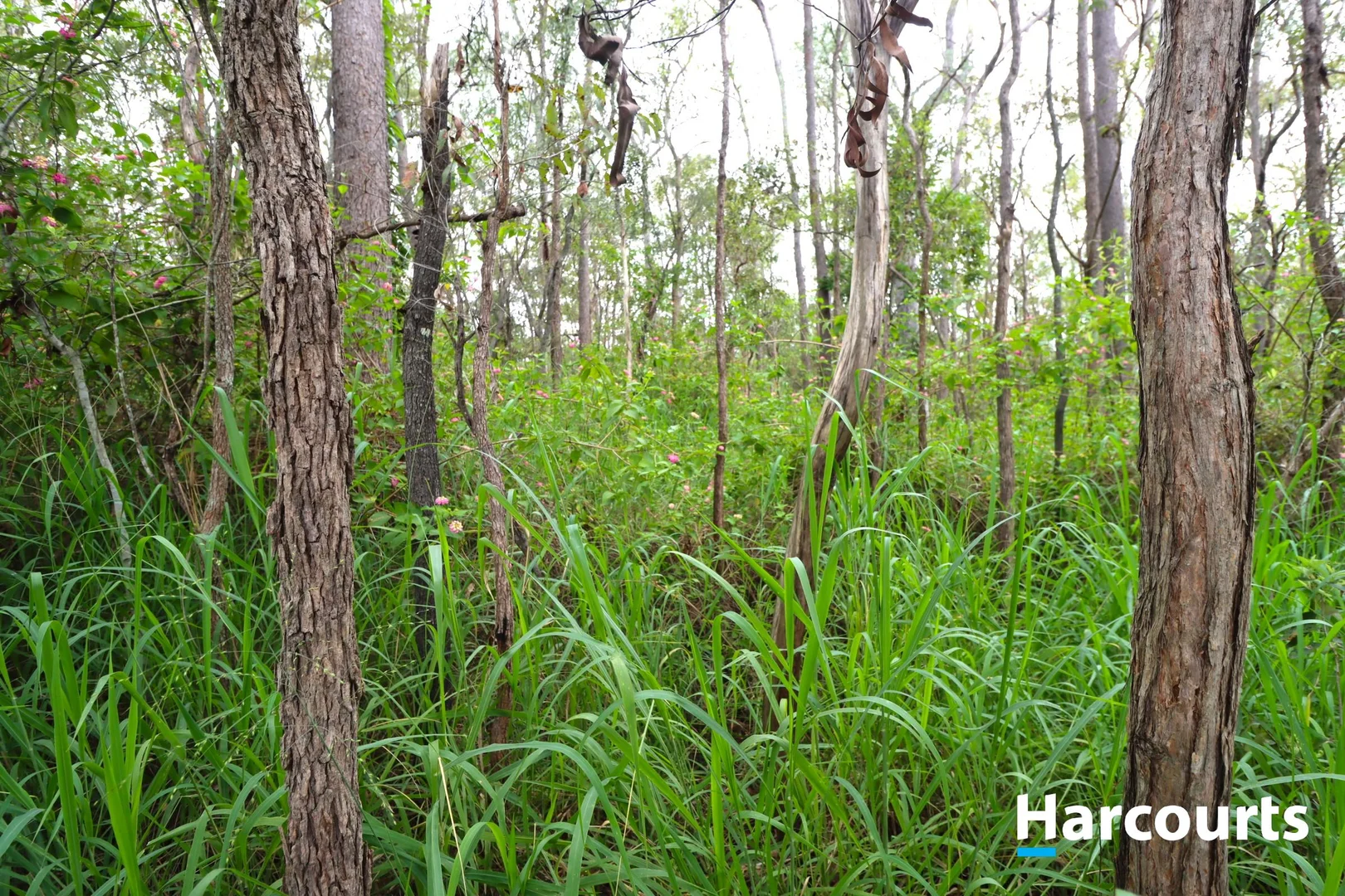Additional image 3 of Lot 52 Tardas Road, Gregory River QLD 4660