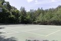 Additional image 13 of 42 Lionel Ave Apt D, Waltham, MA, 02452