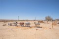 Additional image 39 of 290 Bluegrass Rd, Twentynine Palms, CA, 92277