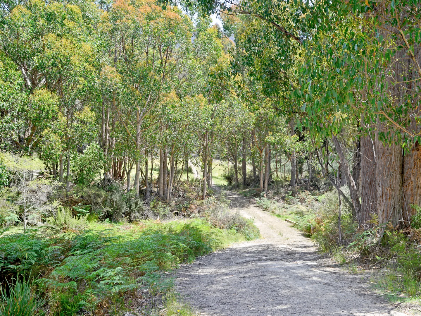 Additional image 6 of 79 Marriotts Road, Ellendale TAS 7140