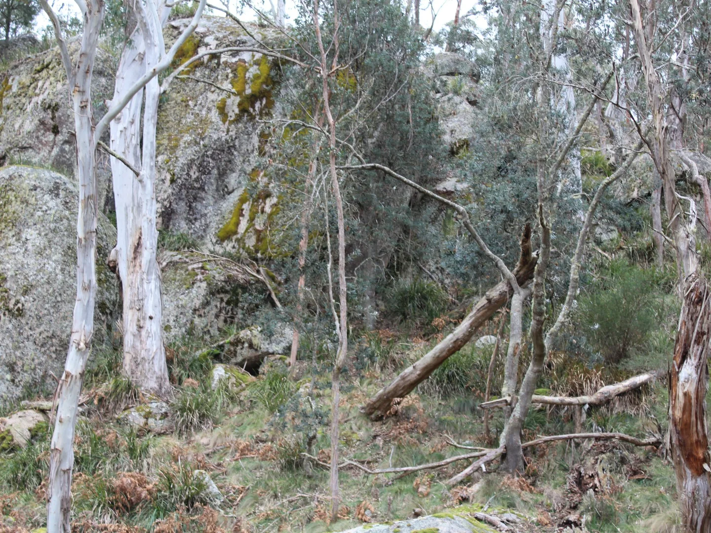 Additional image 8 of 1521 Morven Road, Dundee NSW 2370