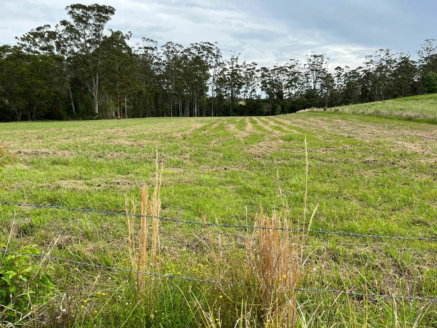 Additional image 5 of 45 Moores Lane, Eungai Creek NSW 2441