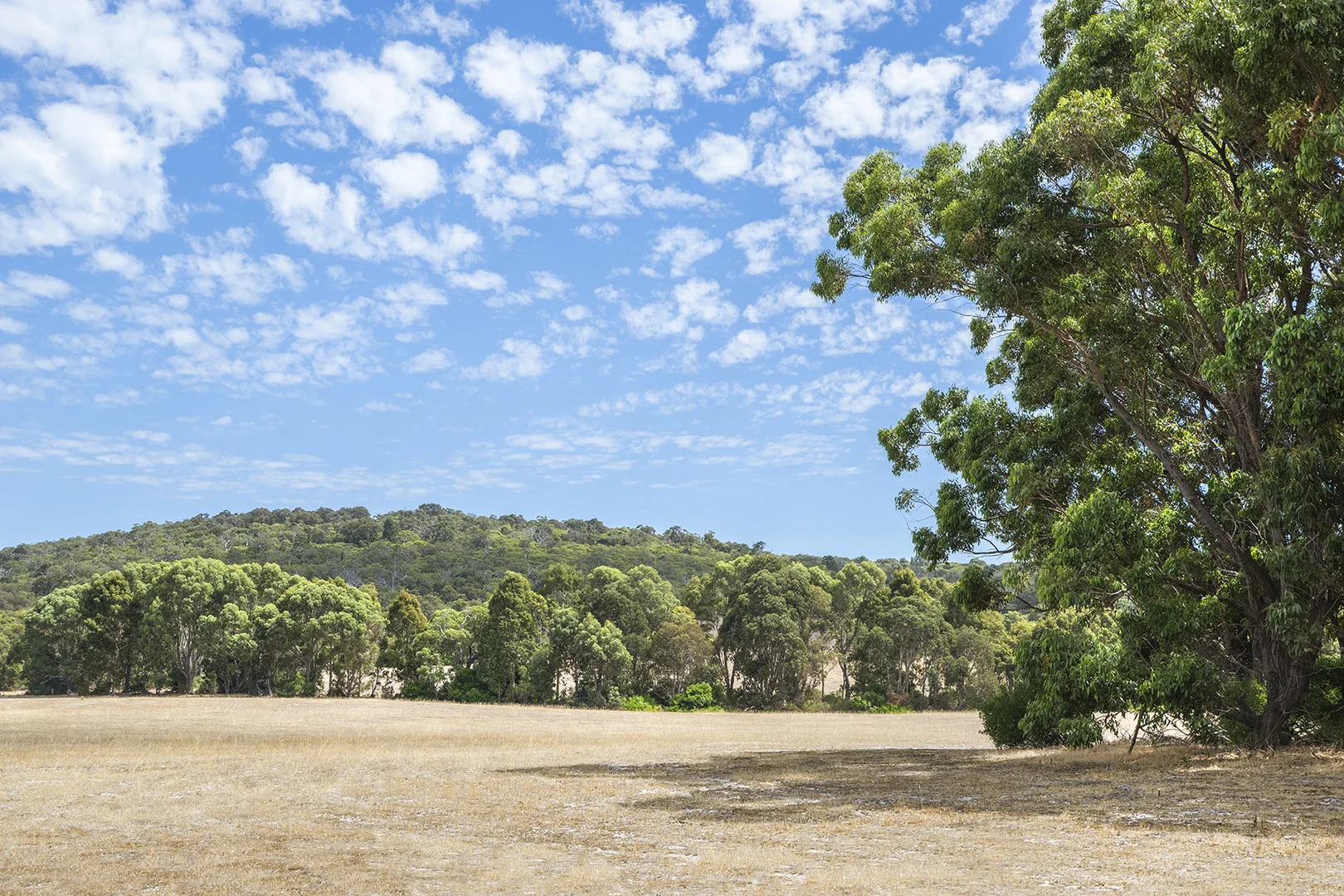 Additional image 4 of Lot 60 Vidler Road, Naturaliste WA 6281
