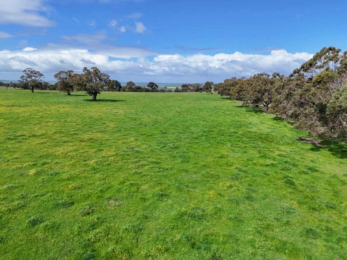 Additional image 27 of 66 Casterton-Edenhope Road, Casterton VIC 3311