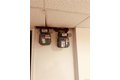 Additional image 26 of 2819 Coddington Ave, Bronx, NY, 10461