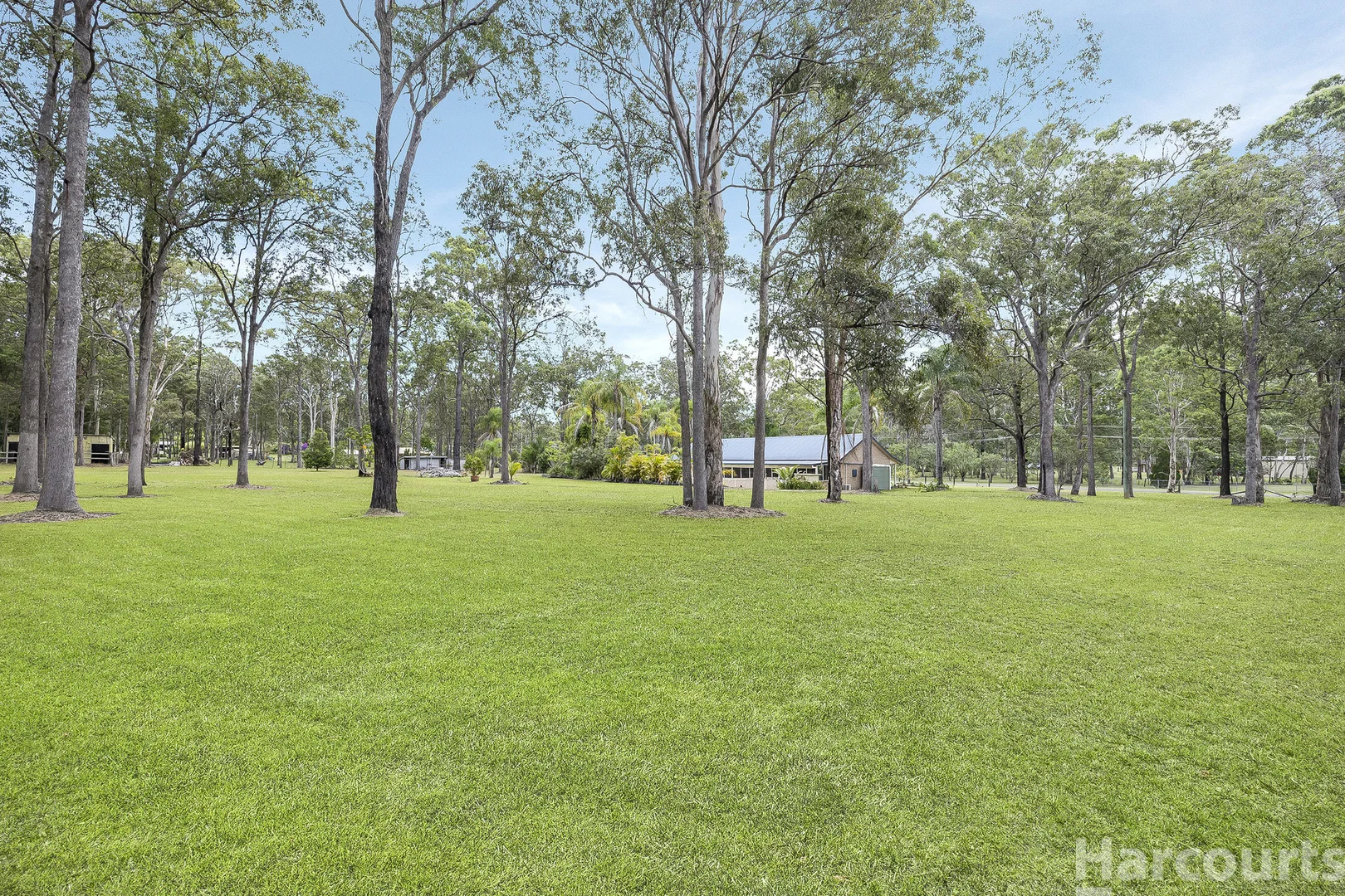 Additional image 26 of 6 The Ponds Way, Aldavilla NSW 2440