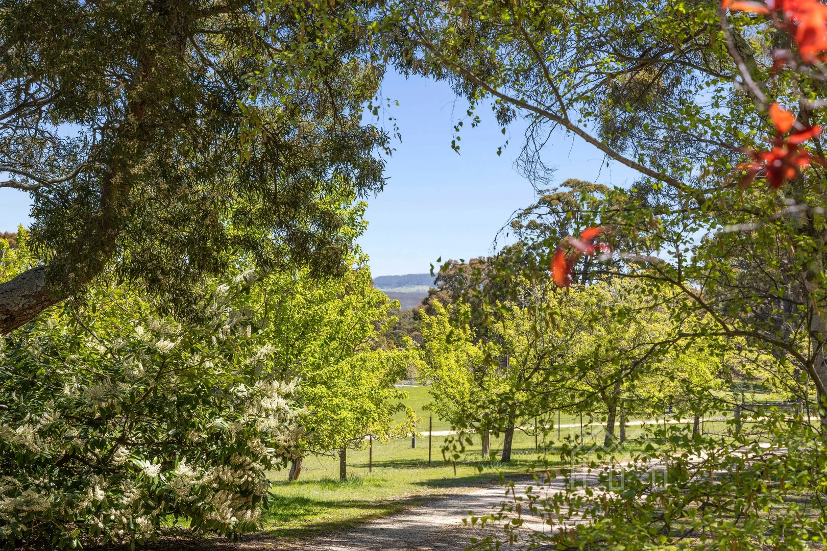 Additional image 21 of 153 Sandy Farm Road, Denver VIC 3461