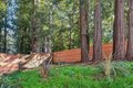 Additional image 69 of 93 Magnolia Ave, Larkspur, CA, 94939