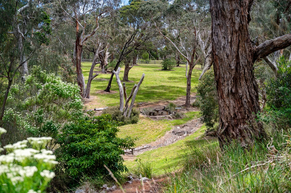 Additional image 7 of 110 Forest Drive, Mount Martha VIC 3934