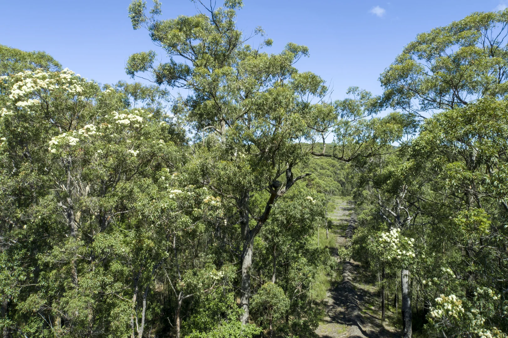 Additional image 25 of Lot 2 Parnell Road, Tomerong NSW 2540