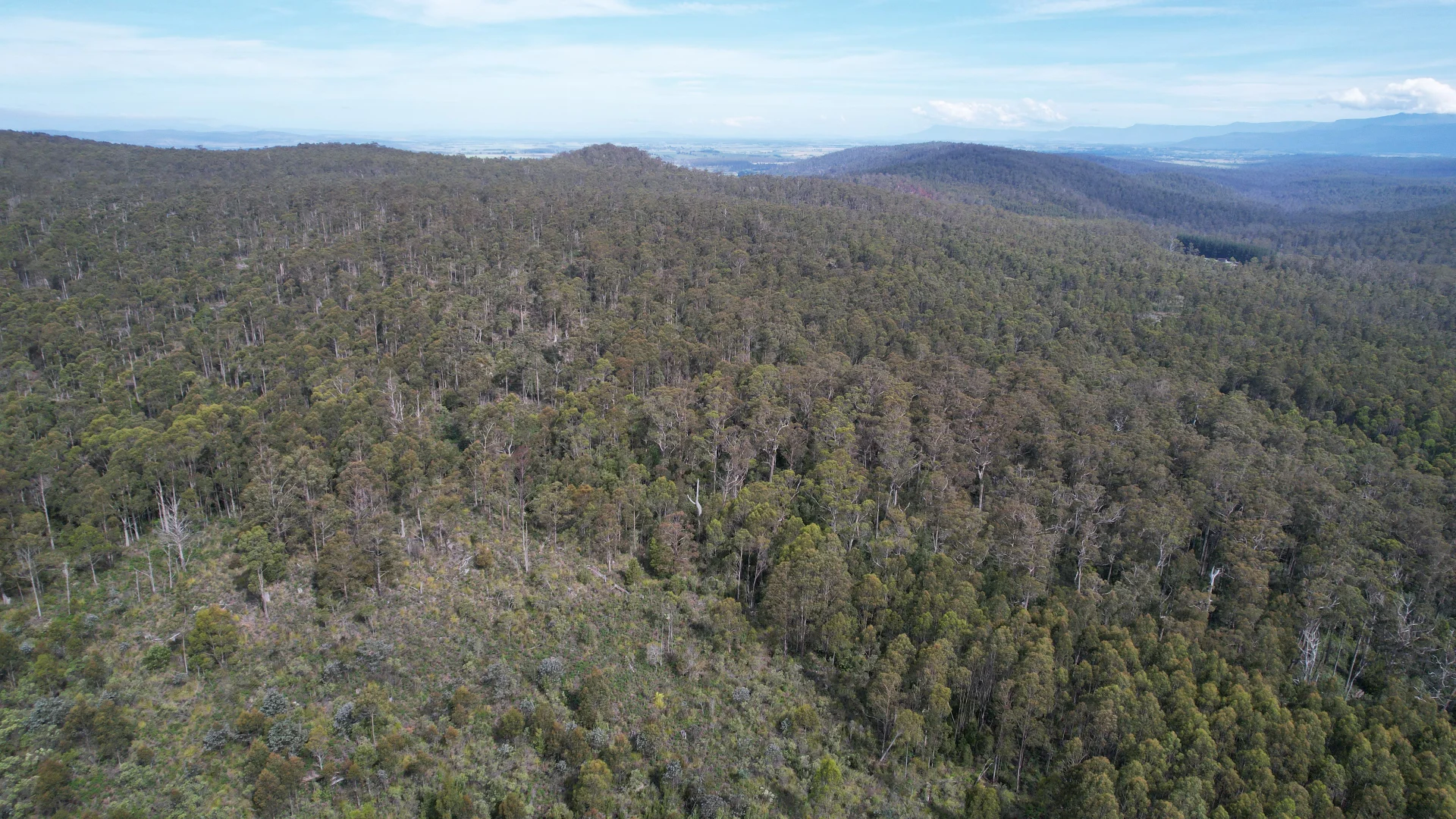 Additional image 4 of 0a Priestleys Lane, Birralee TAS 7303