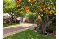 Additional image 22 of 247 Gerona Ave, San Gabriel, CA, 91775