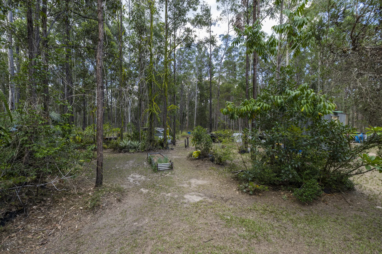 Additional image 19 of 95 Sunnyside Road, Pillar Valley NSW 2462