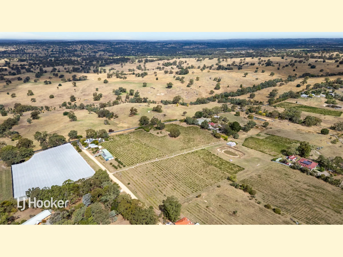 Additional image 7 of 550 Flaxmans Valley Road, Angaston SA 5353