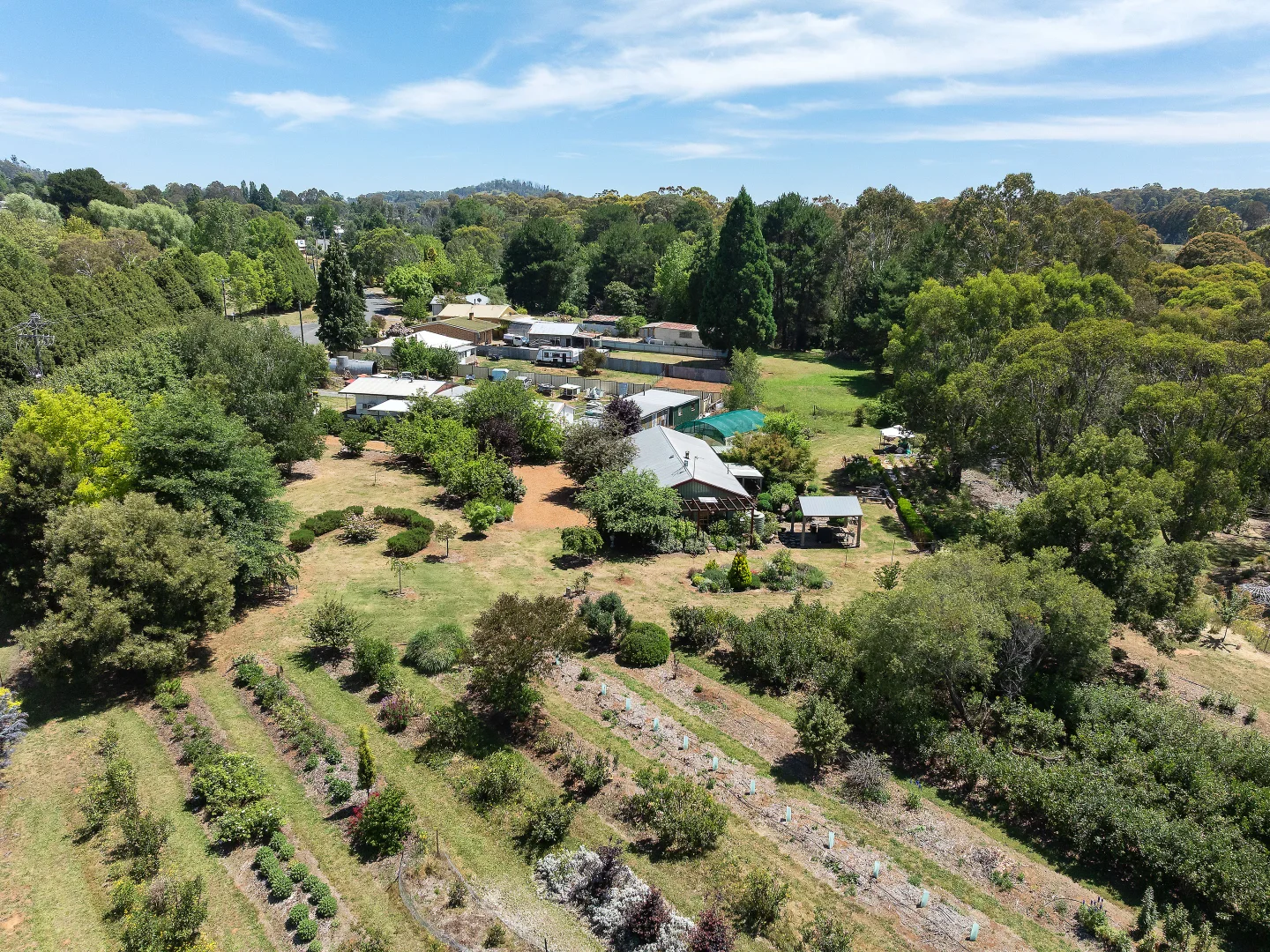 Additional image 40 of 107 Mill Road, Batlow NSW 2730