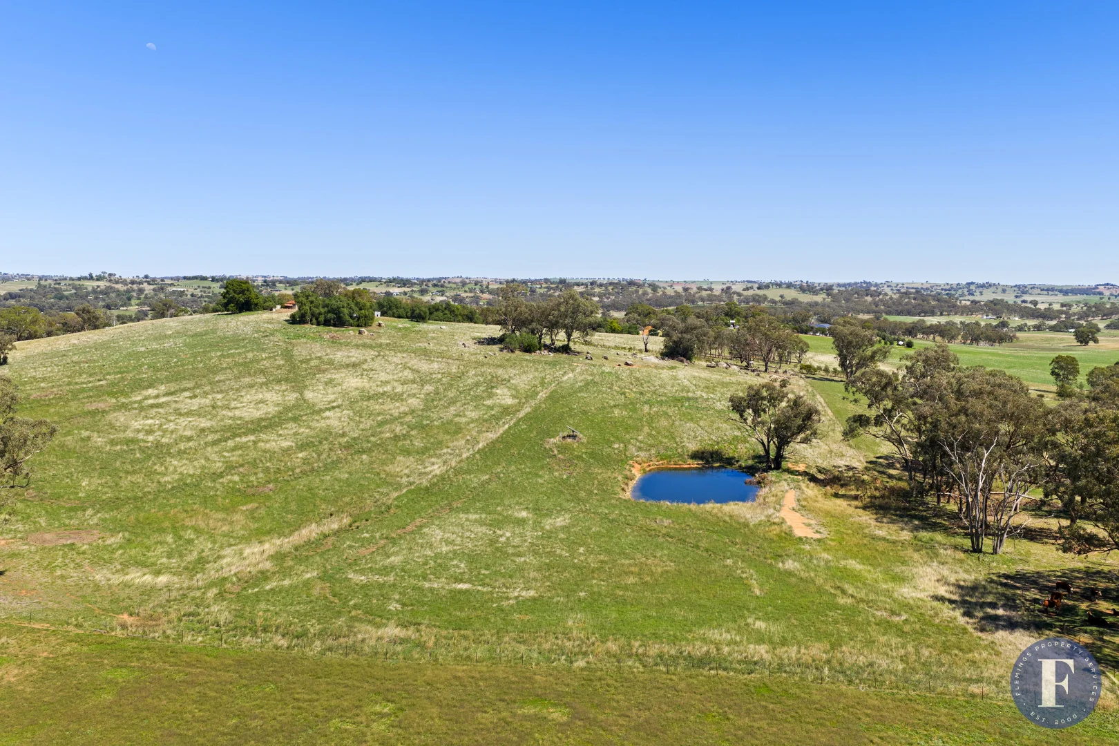 Additional image 2 of 130 Allandale Road, Young NSW 2594