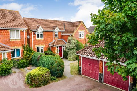 Marston Moor, Dussindale, Norwich NR7