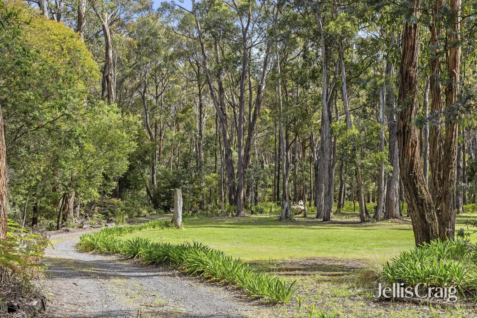 15 Kangaroo Drive, Coomoora VIC 3461 photo 5