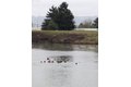 Additional image 26 of 2158 S River Rd, Kelso, WA, 98626
