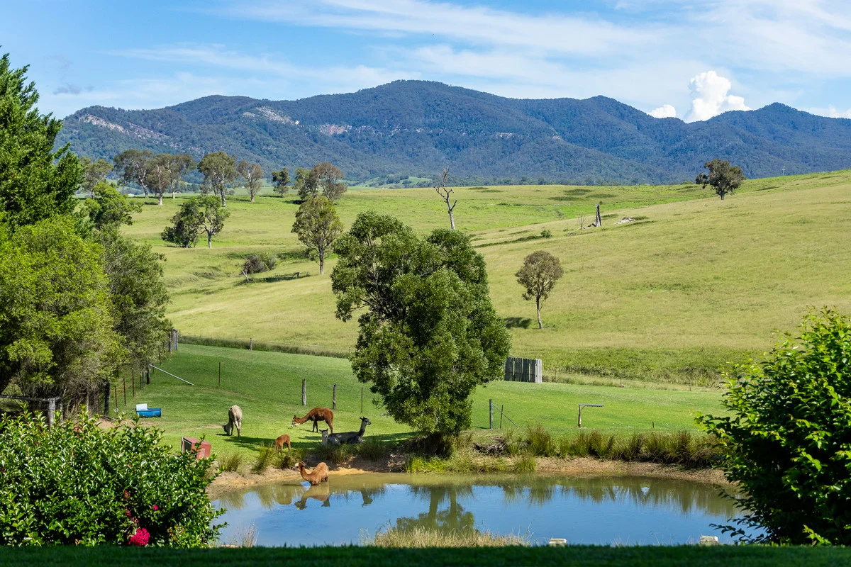 Additional image 8 of 18 Ticehurst Close, Wolumla NSW 2550