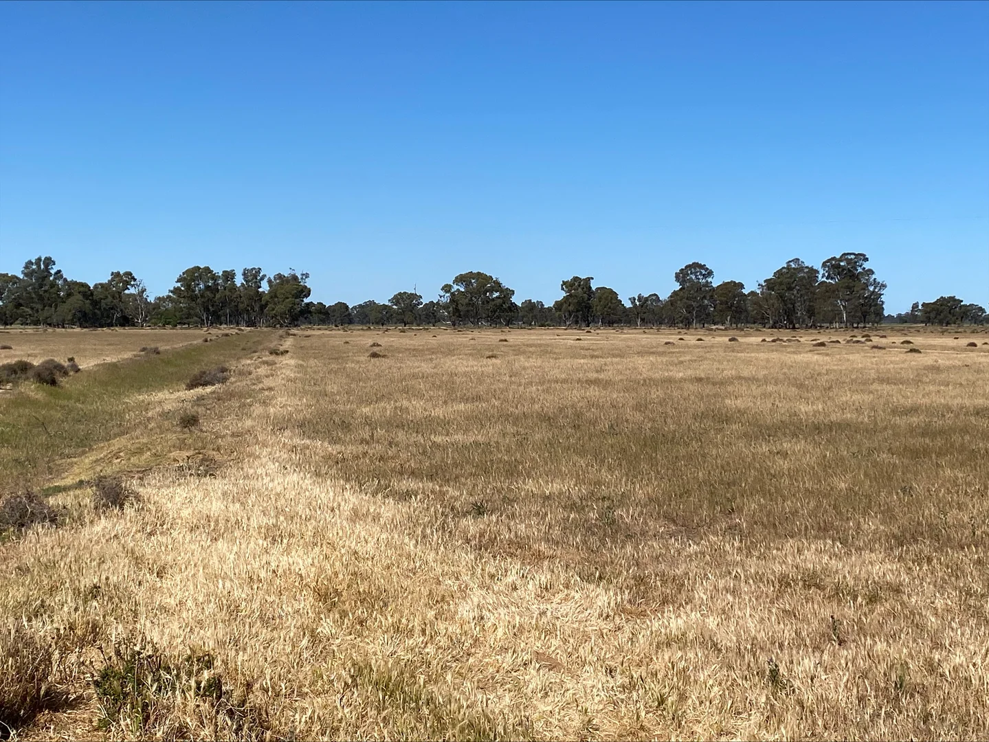 Additional image 2 of 748 Hinkson Road, Koondrook VIC 3580