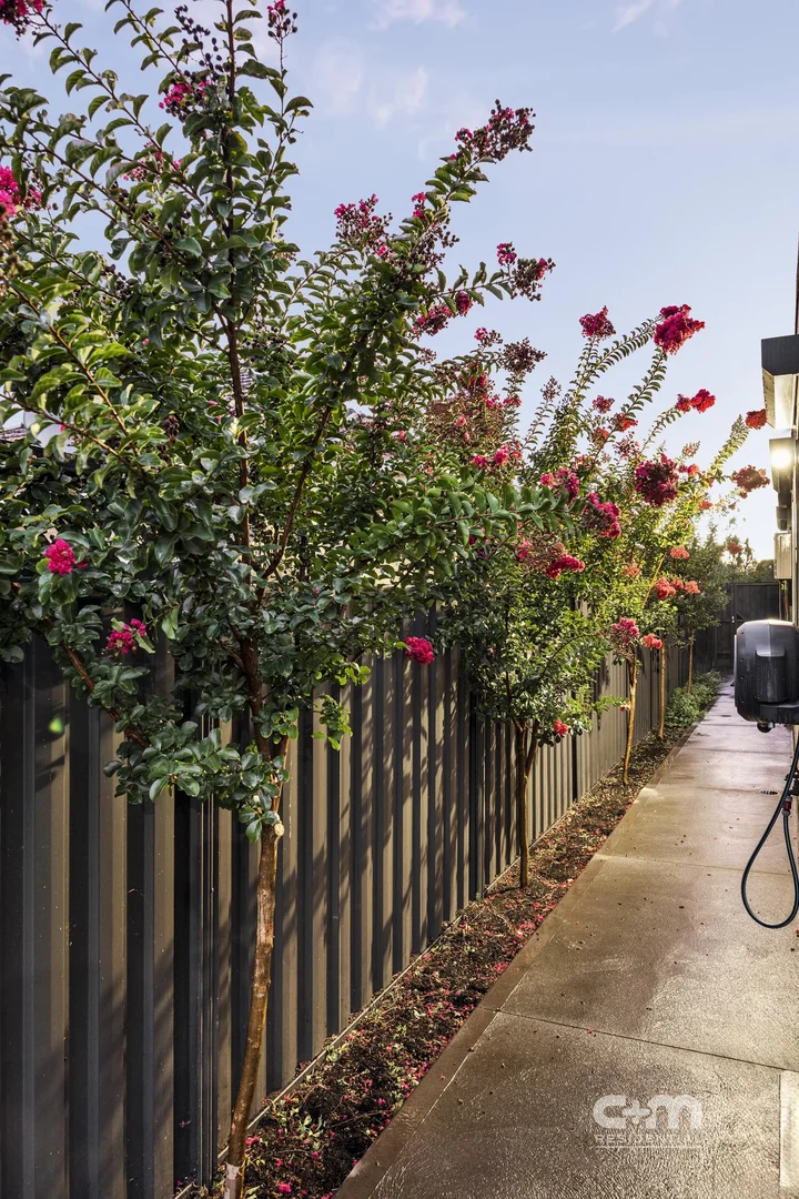 Additional image 17 of 12 Halsbury Street, Hadfield VIC 3046