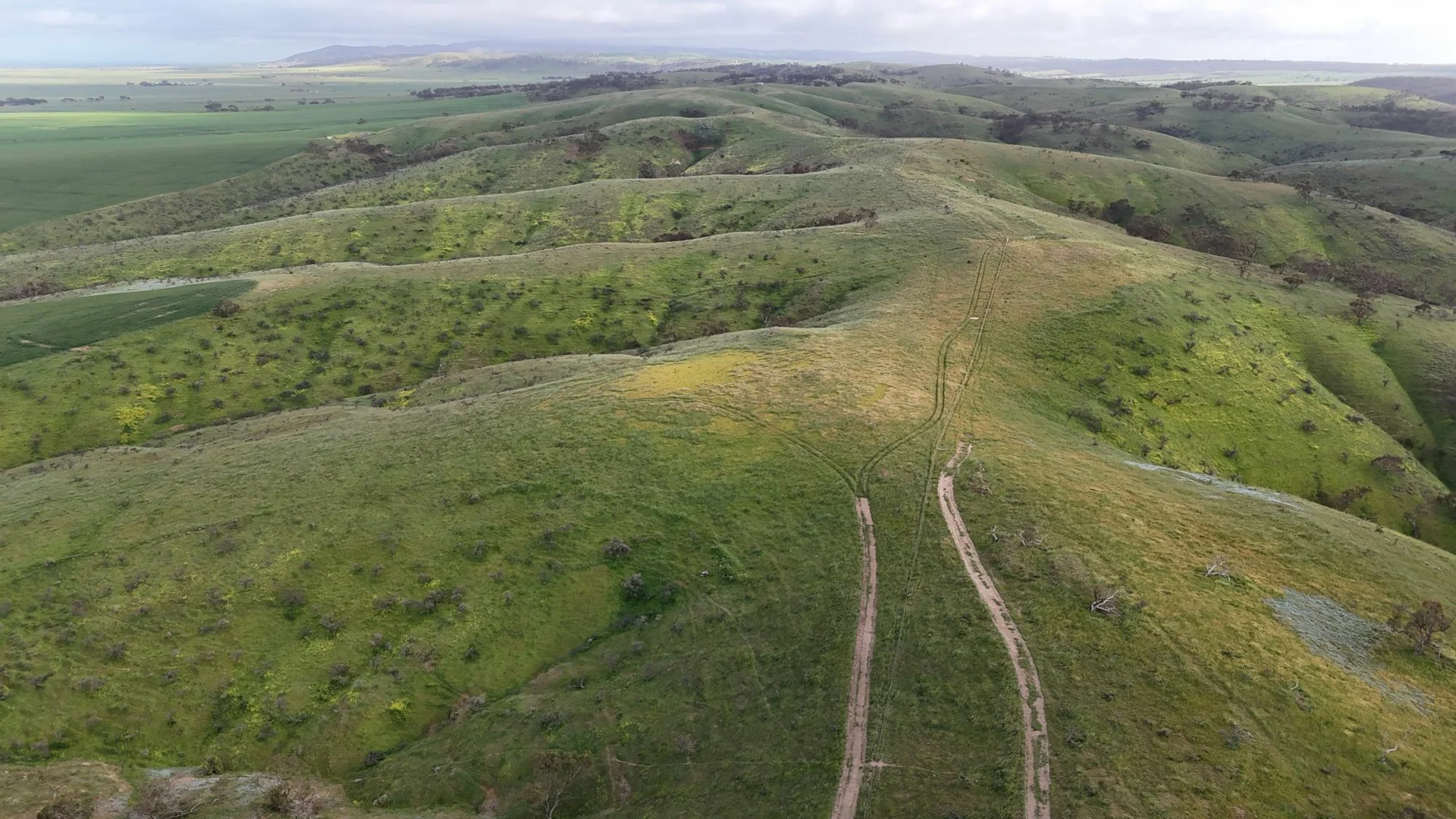 Additional image 10 of 'Crystal Valley' Talbots Road, Crystal Brook SA 5523
