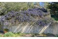 Additional image 37 of 39074 Hedgegate Rd, The Sea Ranch, CA, 95497