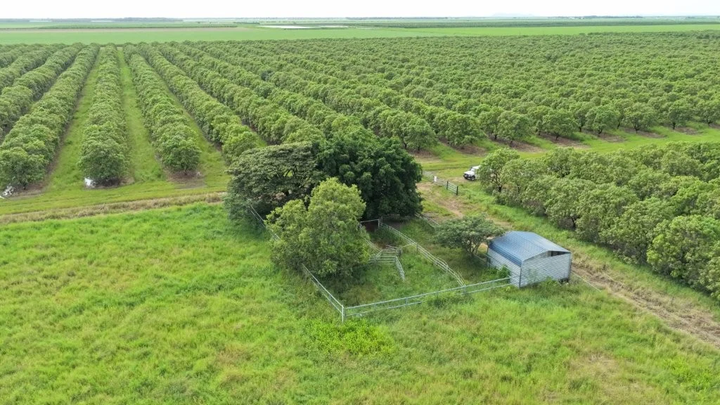 Additional image 2 of 3 Comiskey Road, Giru QLD 4809